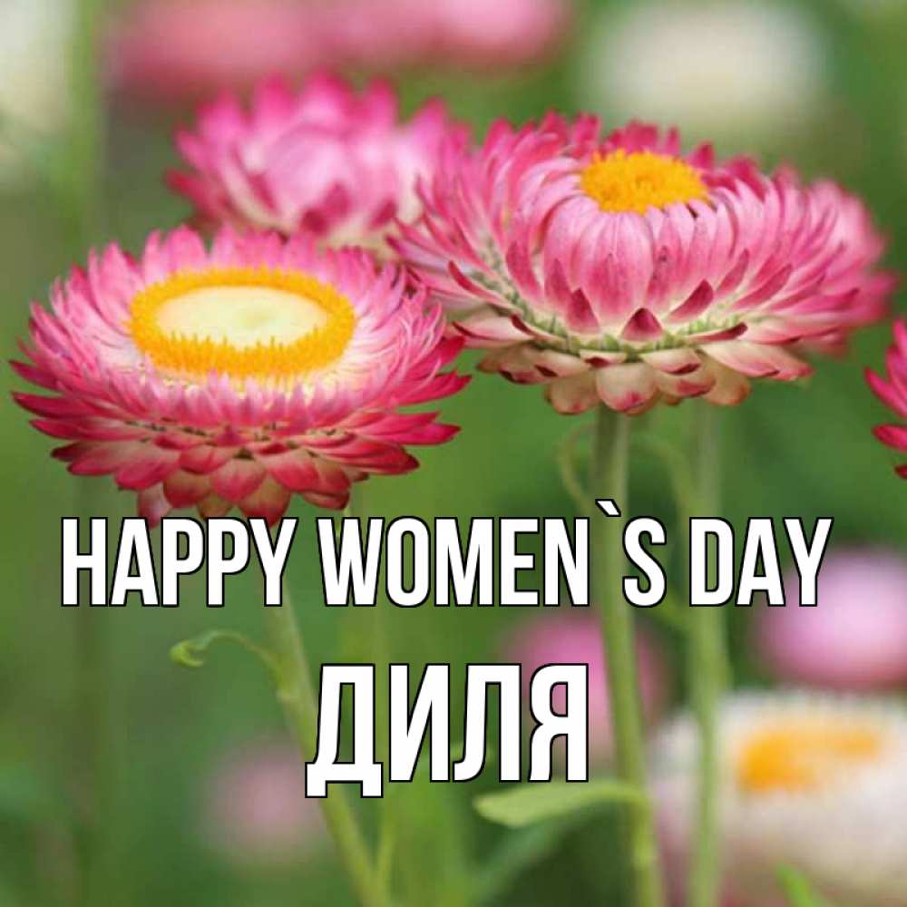 Greetings card с именем, Диля happy women`s day подарок на международный женский день Greetings with text for free download 
